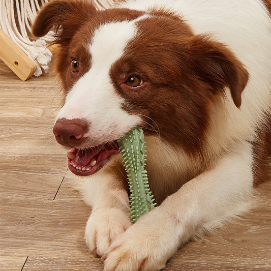 Durable Chew Toy for Dogs – Teeth Cleaning & Anxiety-Reducing Interactive Ball